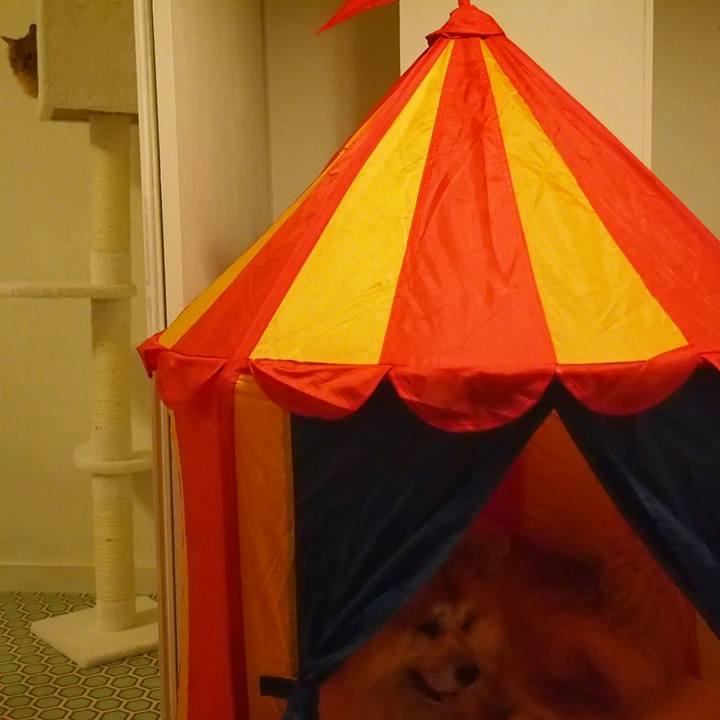 D7171484 1bef 4c9c 8939 90a6b7fc94ba