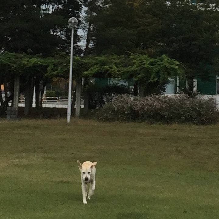 D7176b97 3288 4340 91f1 1b2bdb768427