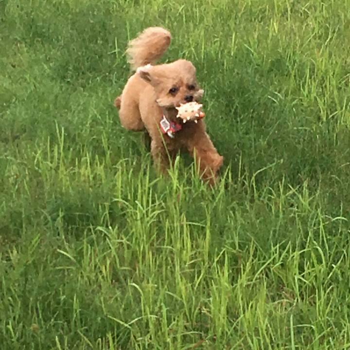 D71786c8 9e9d 4eda a8ab 3a8ba2db9277