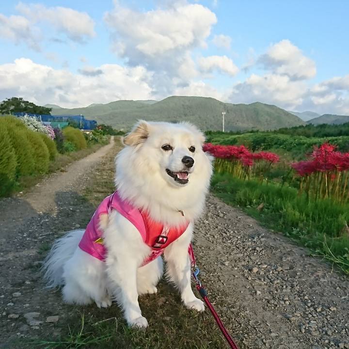 D717d30a d7d6 42eb 8c75 edc52f145db8