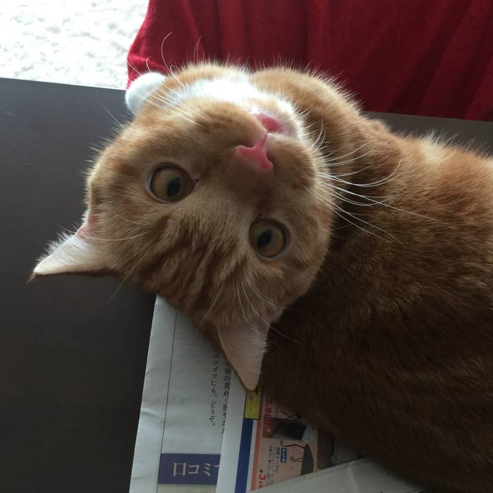 D718a03d 4a02 462f a673 e88daa3faf91