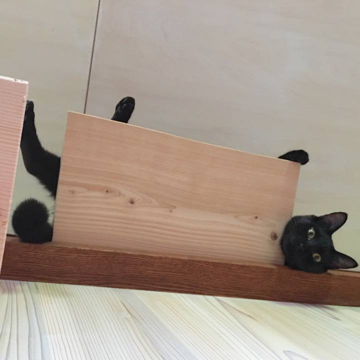 D719287f 09a9 4509 a107 d356d0fa21fc