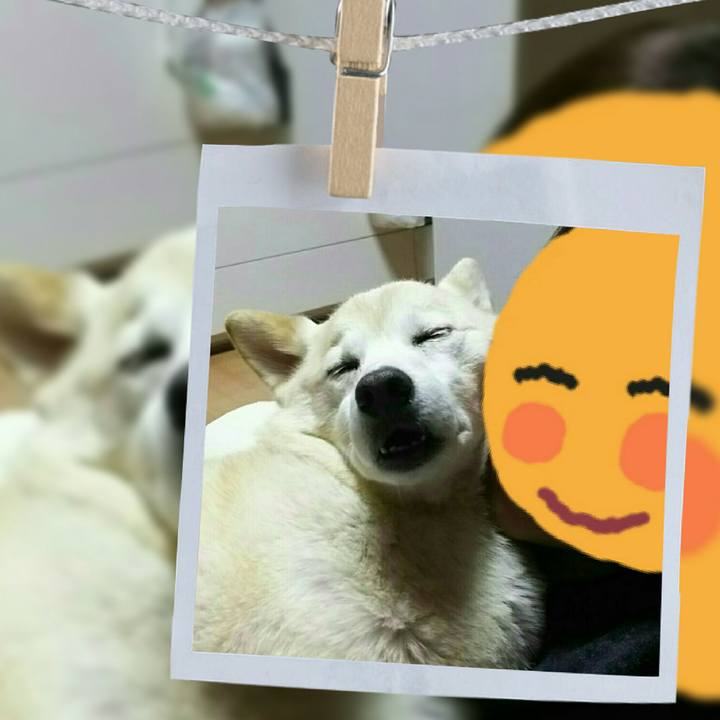 D7194f71 0fe2 4ad4 8487 5530c0a8509f