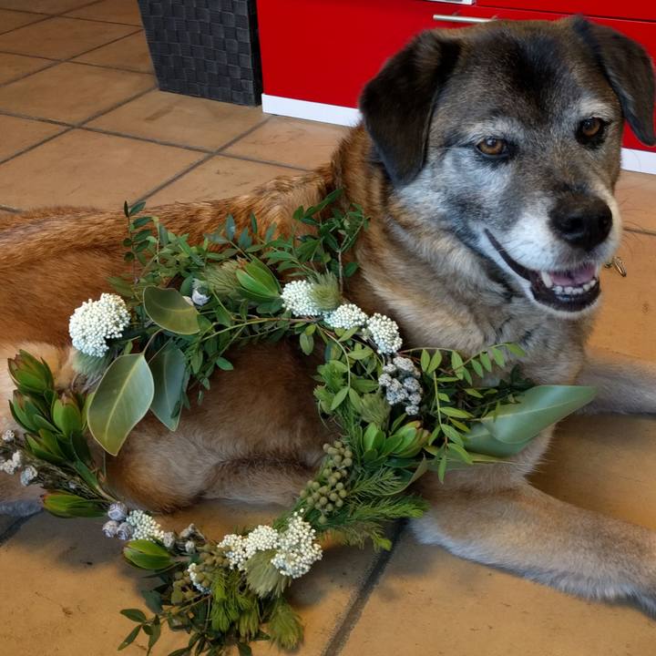 D7195c10 e37d 49bd 9e26 f630f55dbfbc