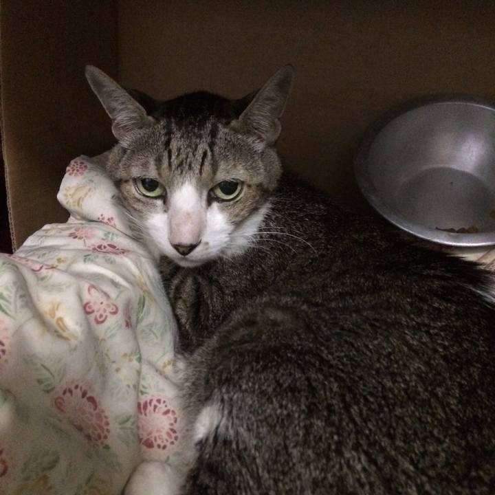 D7198c9e 8c26 42a0 bb61 28b0bc5328eb