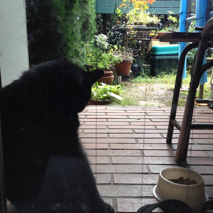 D719c9c5 c74c 4355 9b80 b8ffcab8e711