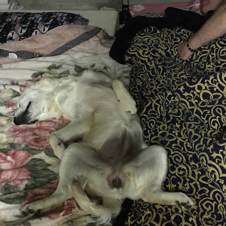 D71a4efa 4be7 4ad2 85bb e95958595871