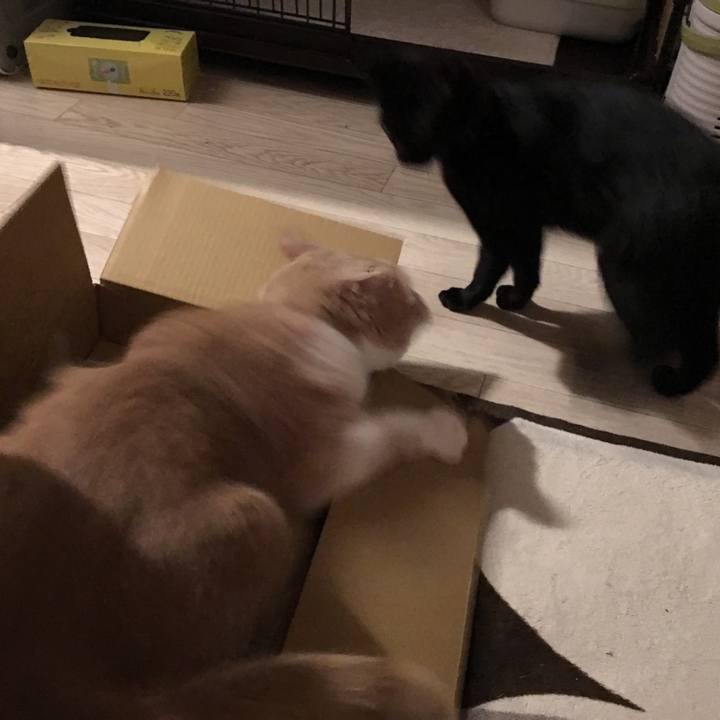 D71a5b4f 742a 4e25 a7eb 53f7b0485b62