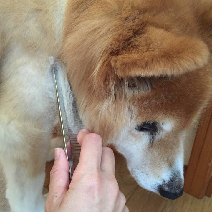 D71a60dd 03a4 41c3 a839 a7b720c4934d