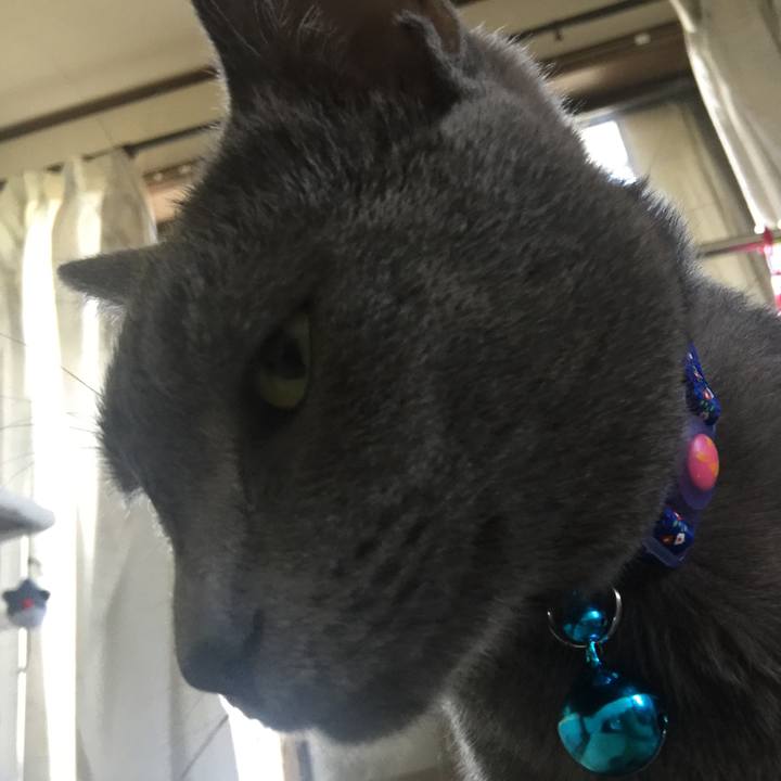 D71a7973 5663 4ee7 84c7 e38c2d6621d2