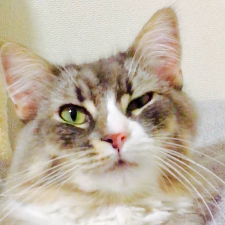 D71ae5fc a0a6 48be b61f 92f403ea6ad3