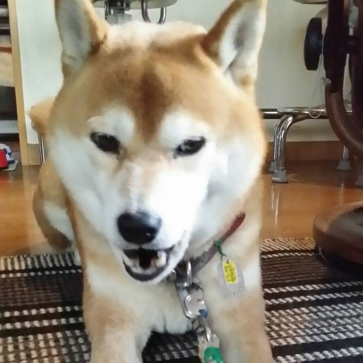 D71b04e9 6e80 4eb8 838c df01cda93ca9