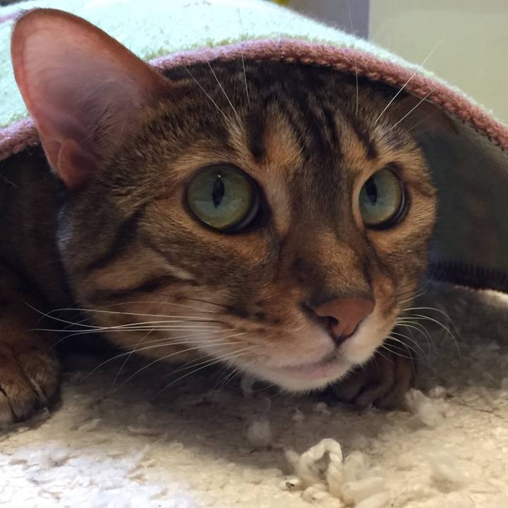 D71b4114 eda0 47c3 8969 781015936822