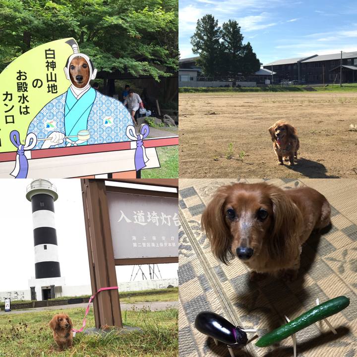 D71b57b0 3b18 4173 a7d3 36862eda7a8e