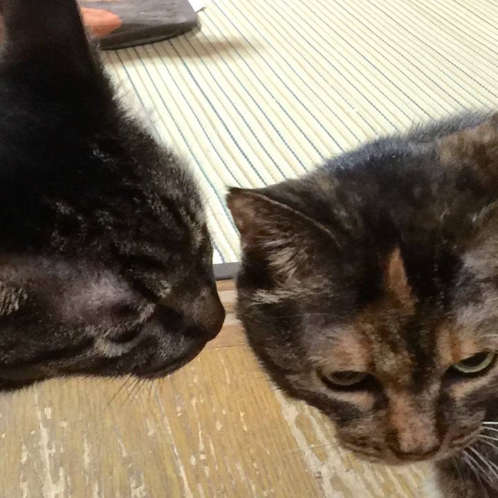 D71bbf0e ab7d 4425 a879 0fce6c593241