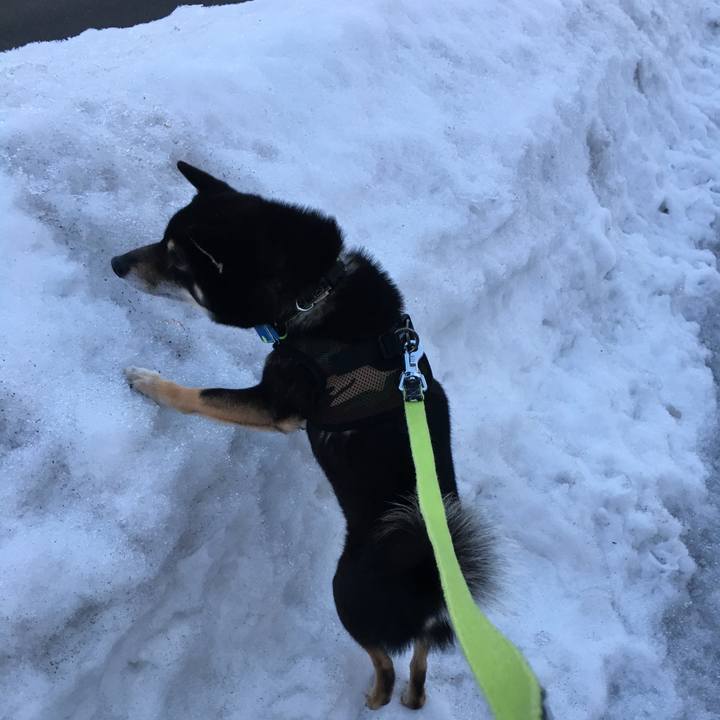 D71c1e82 6572 4b19 8282 84542f9bba82