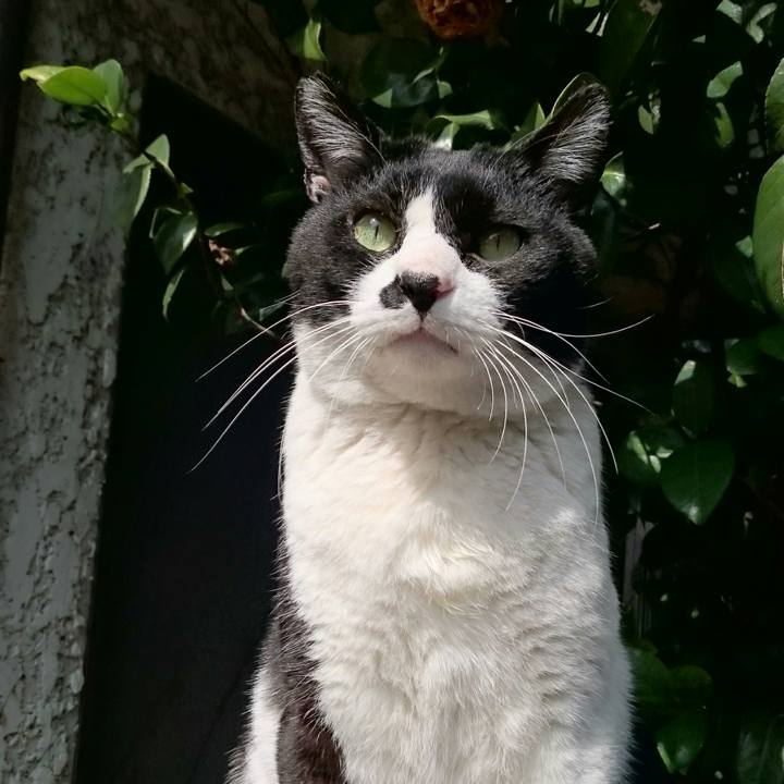 D71e3e2a 3ab7 4d16 b61c 1547e9ec1f29