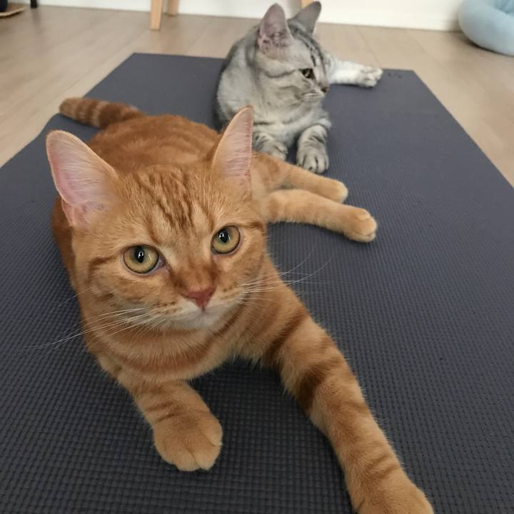 D71ec258 e64d 4624 bf21 52052f1b01db