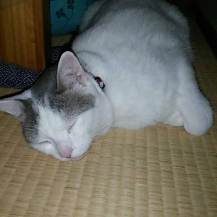 D71f03bf bdf8 4a9e 8dcc 801c59d43de6