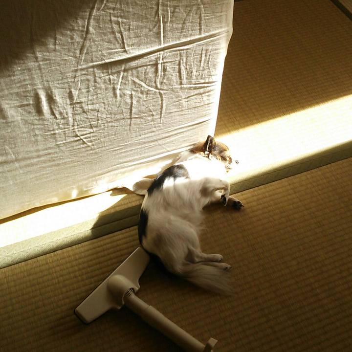 D71f2c73 1dcb 4c54 8e06 3754a949575e