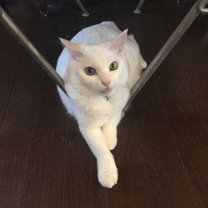 D71fcb42 7695 4c73 80df 78a8a2d086b1