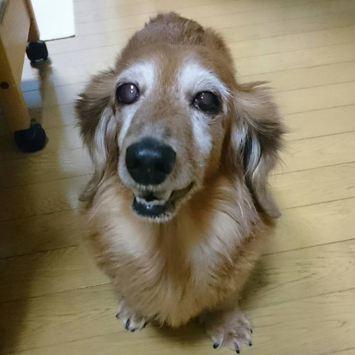 D7206c3d 9d8e 4e0c af6b 81a42b50b9fe