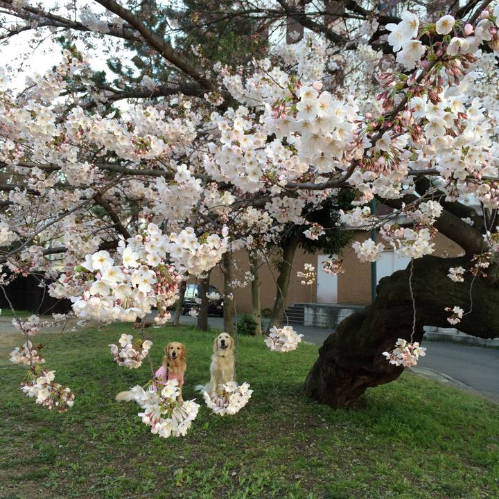 D72101fc d0ec 4512 bc94 89a3de3bc9f6