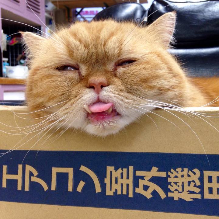 D72124a4 78a0 4d01 9b9f 1df258afa5c2