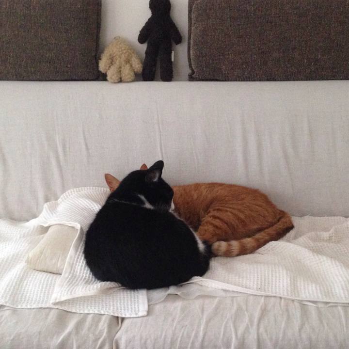 D7215863 1888 47c4 85ab 0de62e7026aa