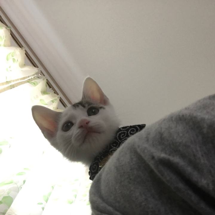 D721823f 8f78 4151 827a fc7407fb354a