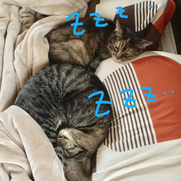 D72193f9 b578 4bd4 bc11 2398af28a835