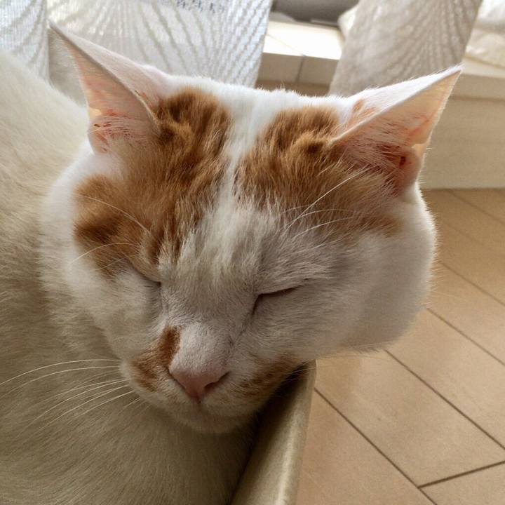 D7219f10 bce6 4706 86e4 54f2e9218ccf