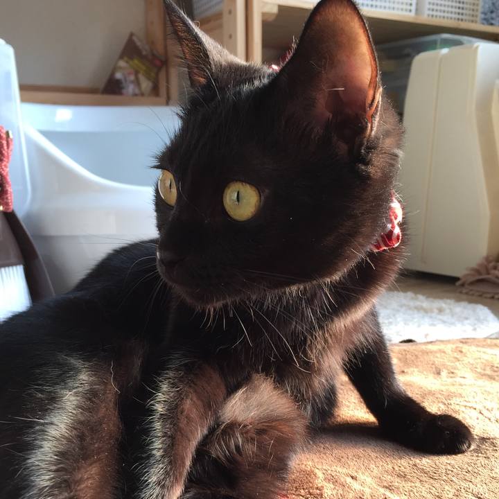 D72224ff 691b 4213 a0d4 cd71e78c4656