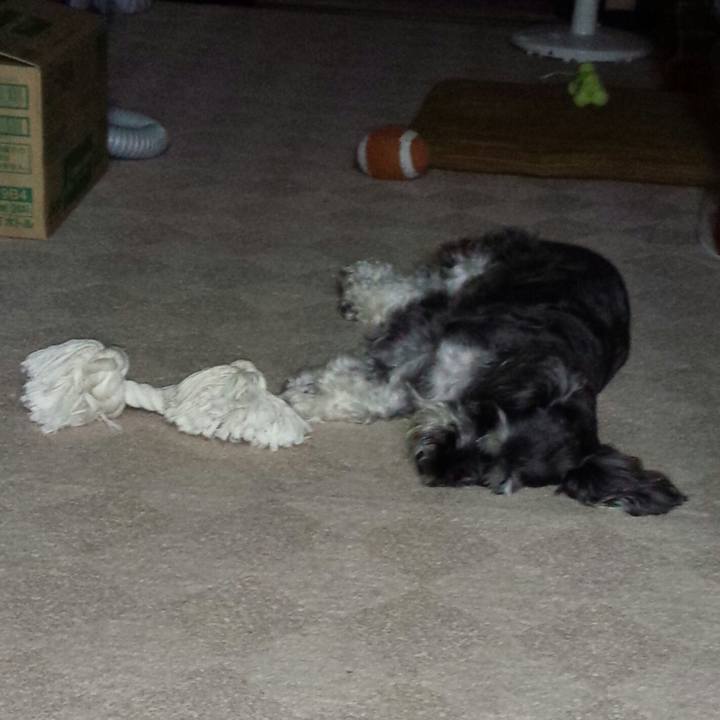 D722612a 36c4 48cc bbe9 02a7574359e7