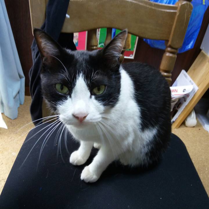 D72283a6 a15e 47c5 87d8 0c2b119d7f47