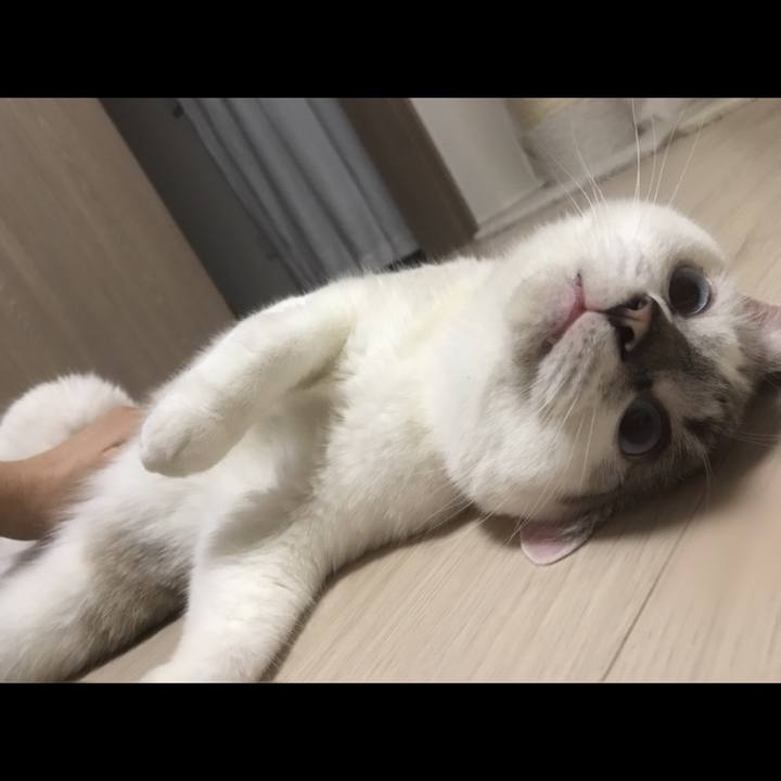 D7229468 77f9 4058 9a33 3b58f02eab02