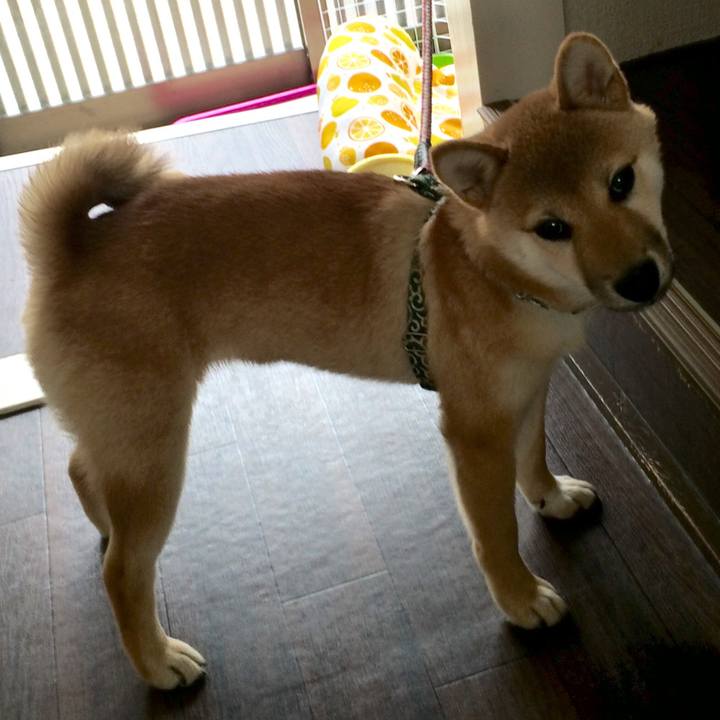 D722a1fd e734 4261 85bf 85451d8ff01e