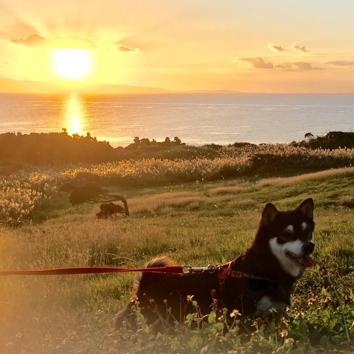 D722ef2a 7e03 4898 b7f9 cfdaeb5112d8