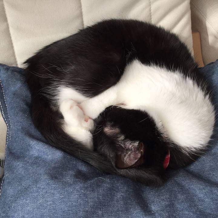 D72363fb a357 43c0 9cb9 9a9a2d974e6f