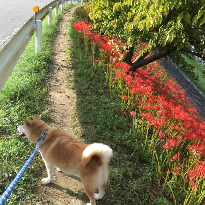 D723df3c 247f 43a9 b96d 375b80706be2