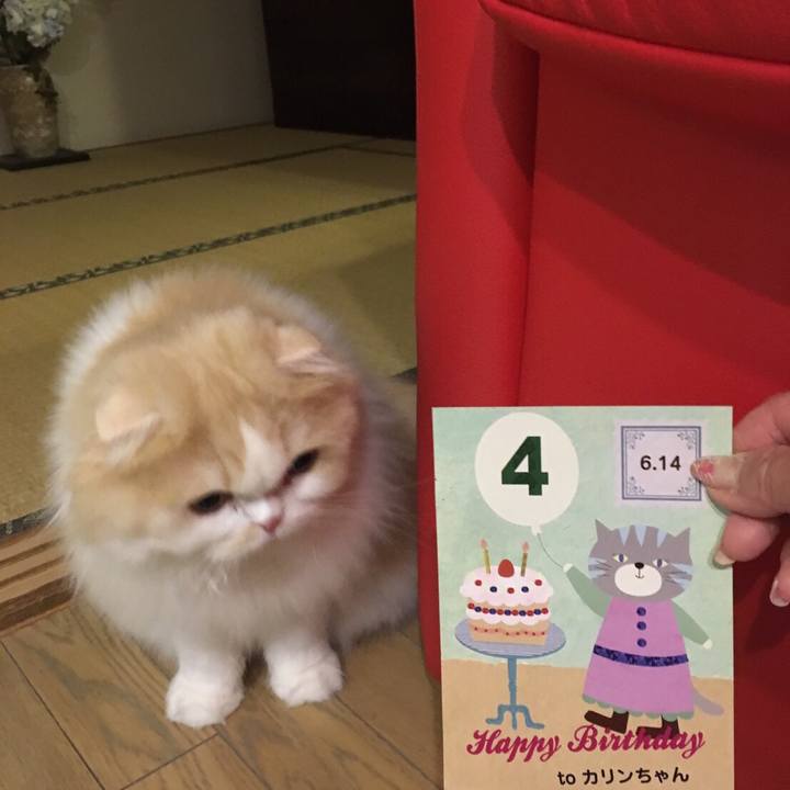 D723fbf2 e920 4a57 8a90 2870ed54b939