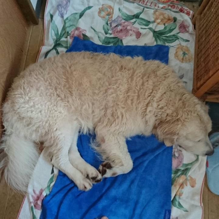 D7242fa4 1cbf 4c1f a2eb 5ab633deae35