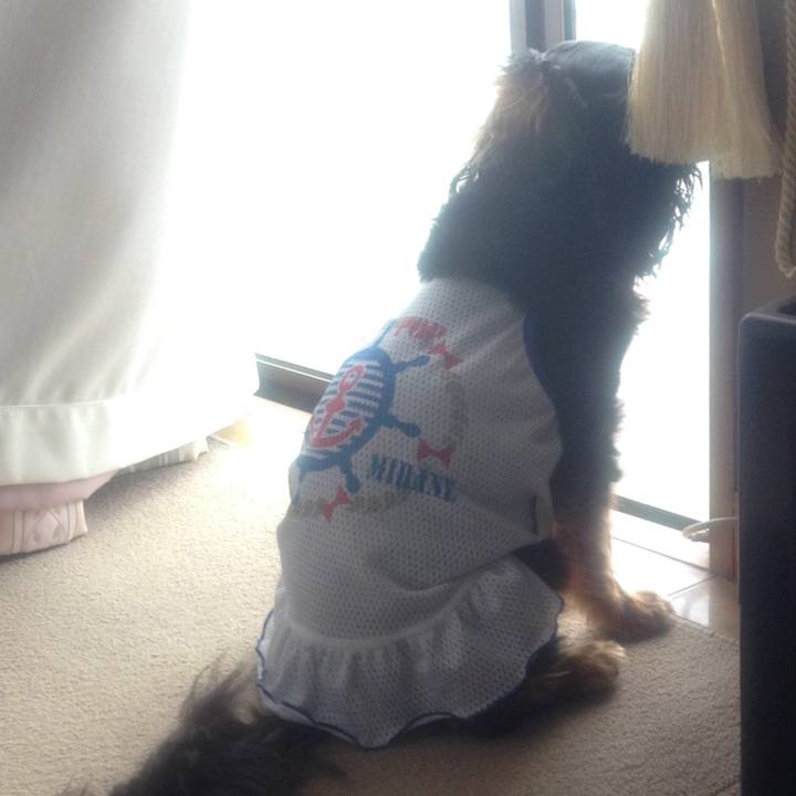 D7243546 6586 43c7 8fe3 4c5d70caedc0