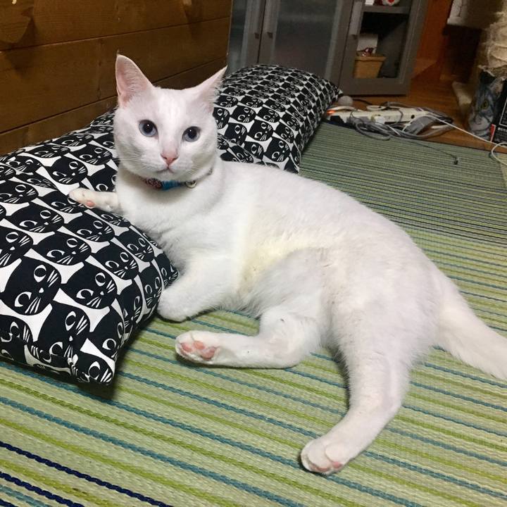 D7244db7 5b8d 4aae 9dc4 315f4107a6fa