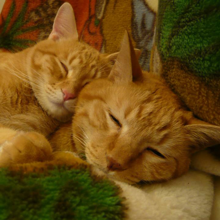 D72486d1 da88 4740 96aa 96080aedd18b