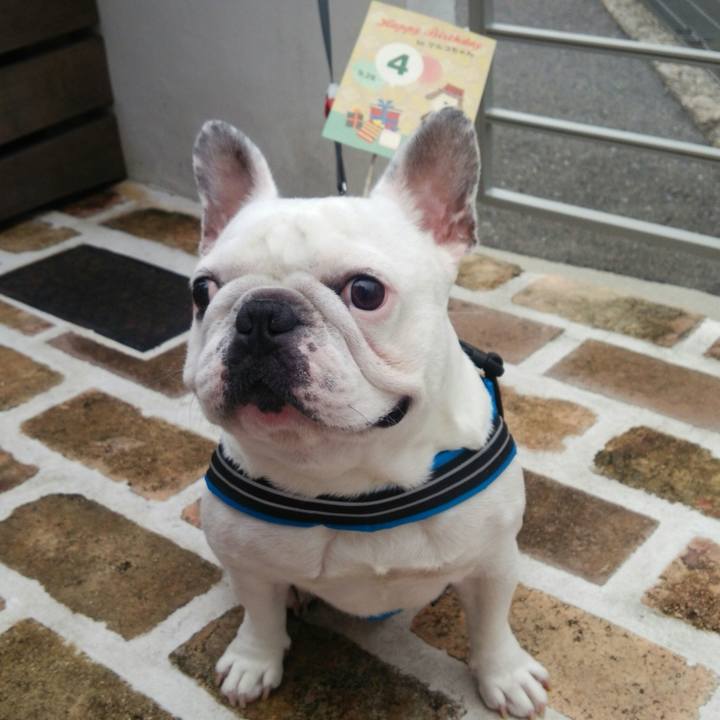 D726cc6b e2e6 4914 9192 fa154a7565f4