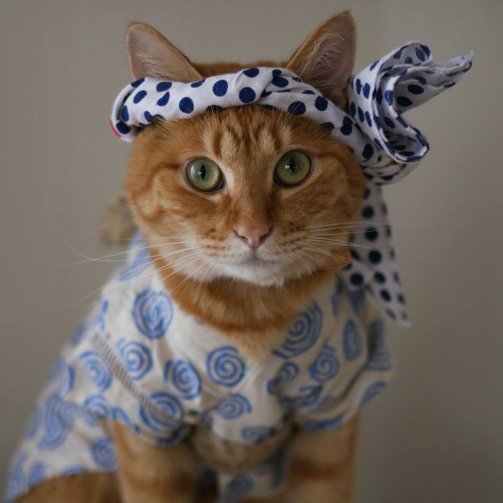 D7270f46 07db 4cd6 a563 6c708eebffd9