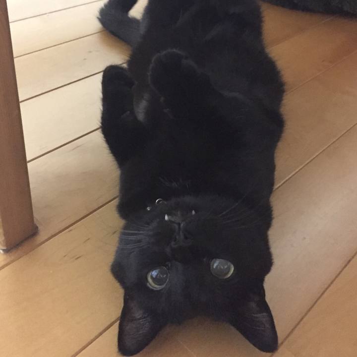 D727d159 e3da 43d6 a058 80f5bd7289f5