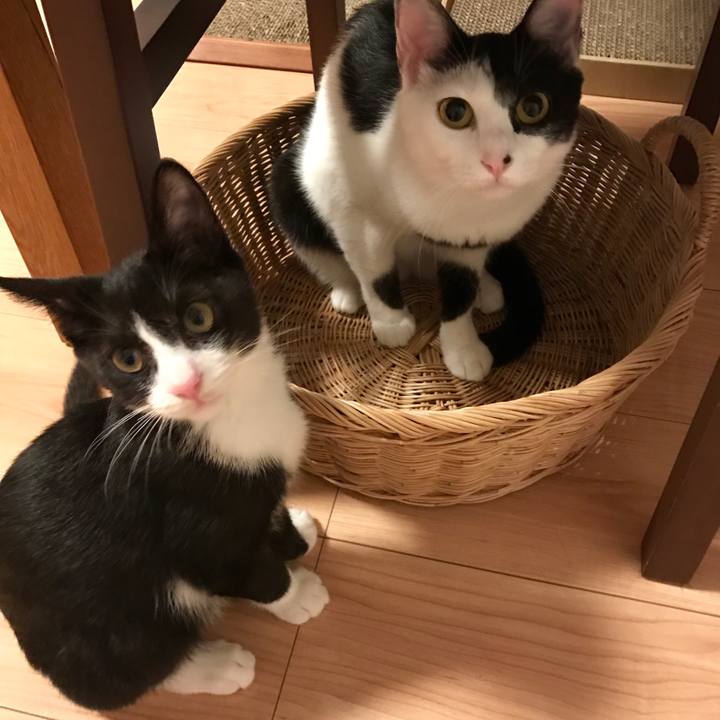 D7286309 8028 4ac7 ad2c 46b4441c9481