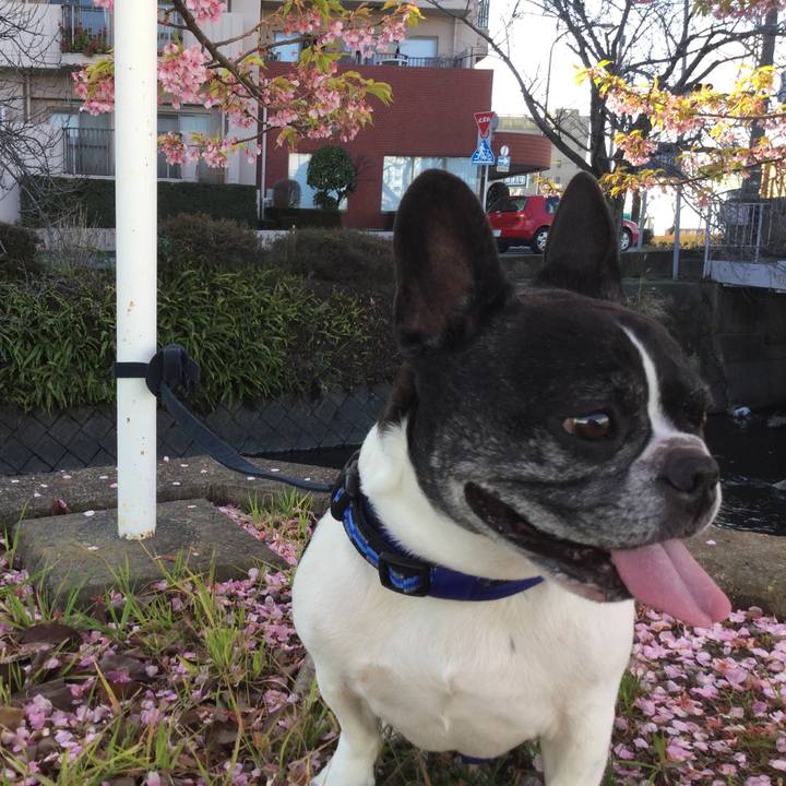 D729748d c023 4316 8264 4ebfa0dc111f